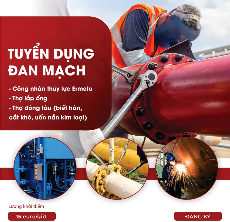 Xuất khẩu lao động Đan Mạch 2025 cùng Du học Việt Âu